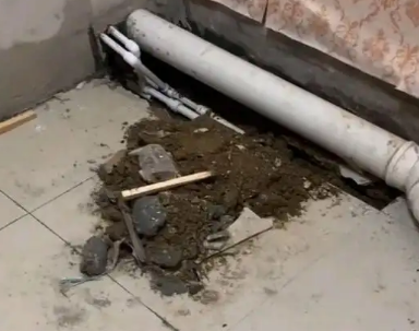 松北卫生间漏水检测哪家好