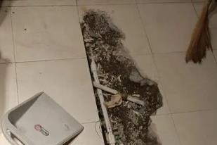 松北卫生间漏水检测电话
